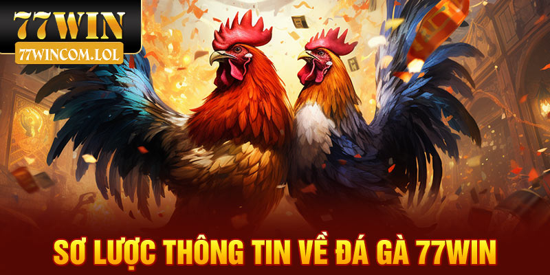 Sơ lược thông tin về 77win