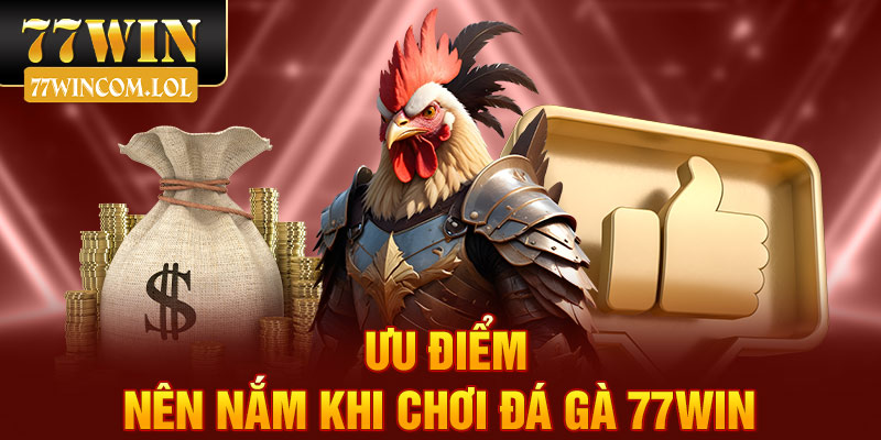 Ưu điểm nên nắm khi chơi đá gà 77win