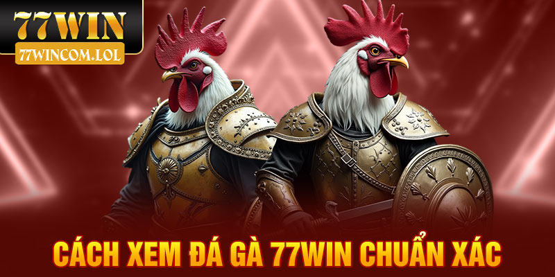 Cách xem đá gà 77win chuẩn xác