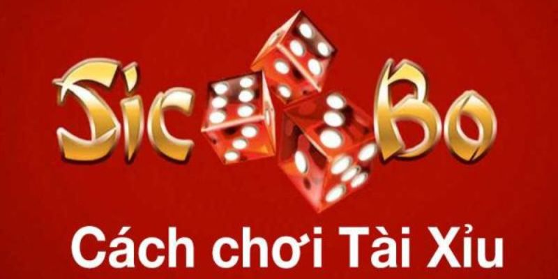 Cách đánh tài xỉu 77Win 